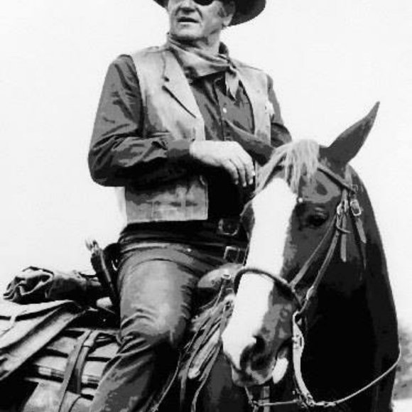 True Grit John Wayne High-End Paint By Numbers Kit - Picture 2 of 4